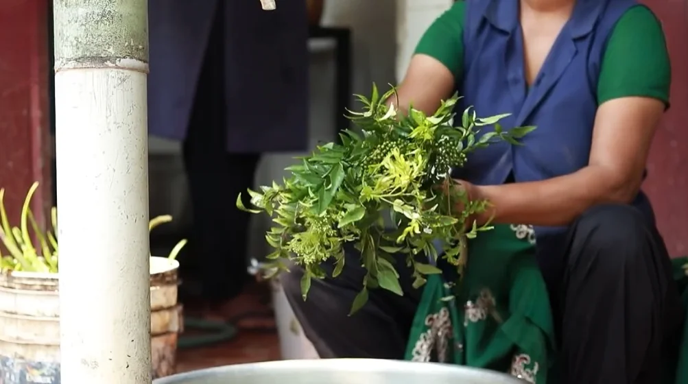 Fresh Herb Preparation