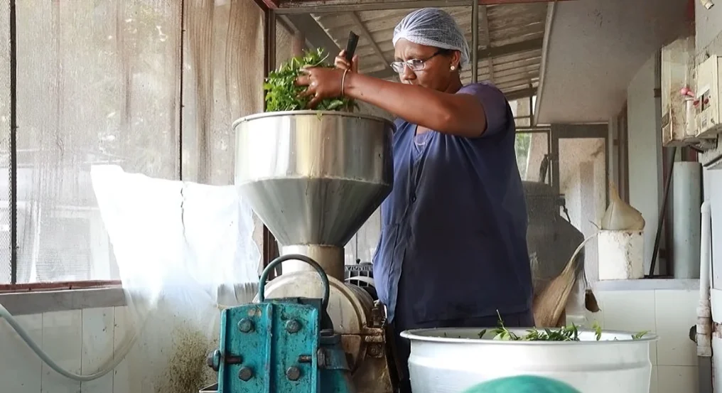 Traditional Grinding