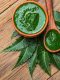neem for hair care