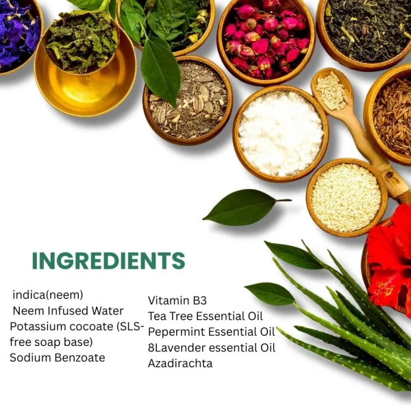 Nandikesam Neem Herbal Face Wash - Image 4