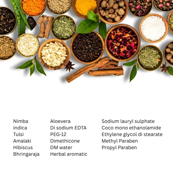 Herbal Shampoo - Image 2